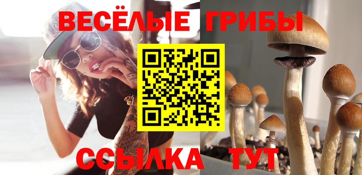 Псилоцибиновые грибы GOLDEN TEACHER  Вход с VPN  Гуково 